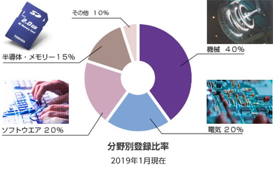分野別登録比率
